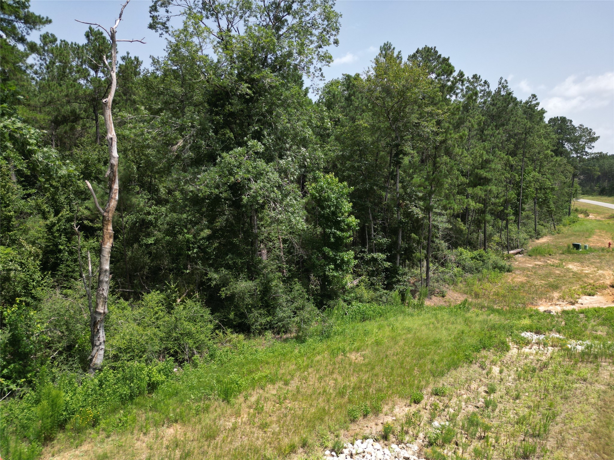 15884 Ridge Oak Road Willis, TX 77378 - Photo 8 of 24