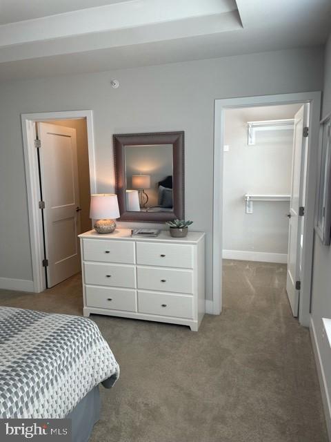 1955 Roland Clarke Place, Unit 29 Reston, VA 20191 - Photo 14 of 27 MASTER SUITE TWO WALK IN CLOSETS