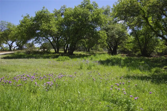a view of backyard with green space