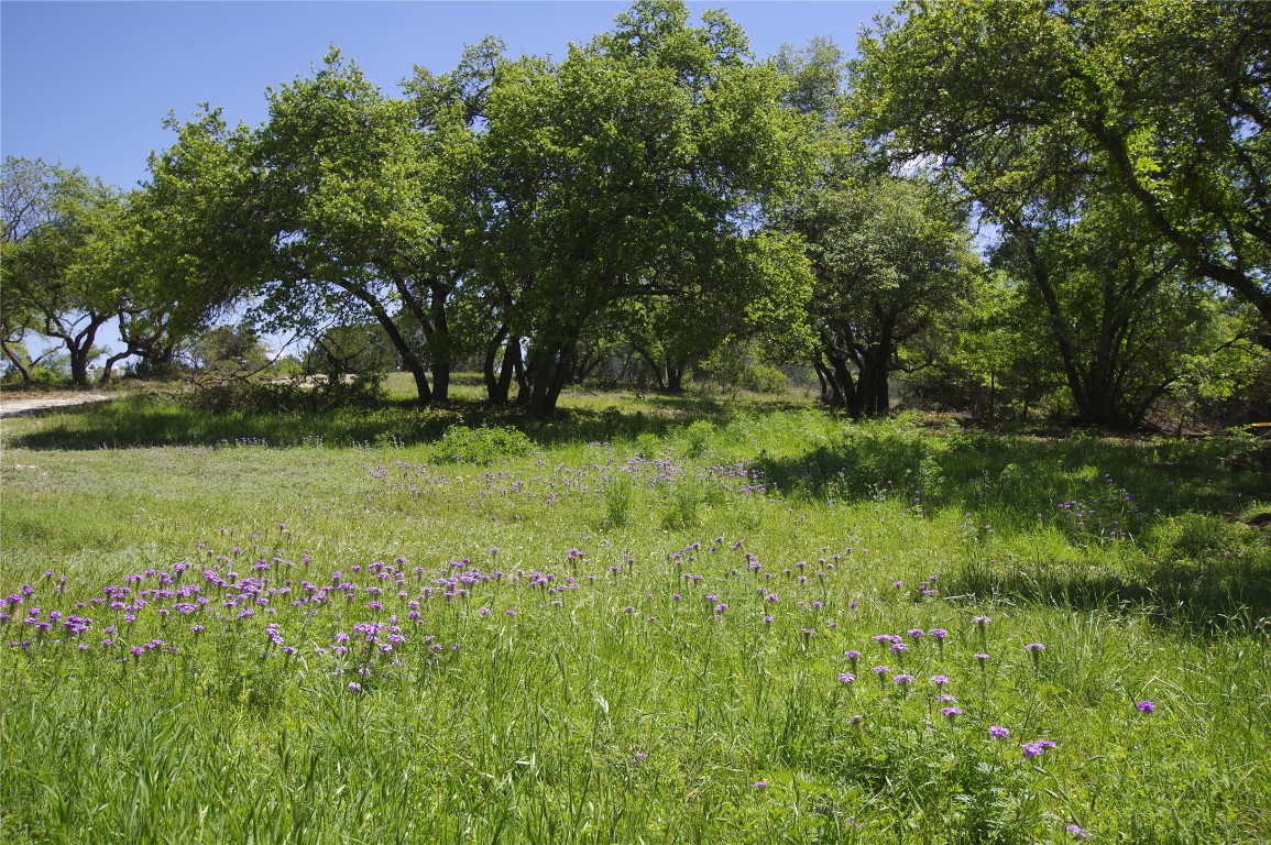 a view of backyard with green space