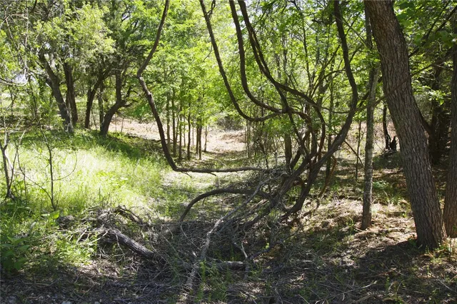 a view of backyard with green space