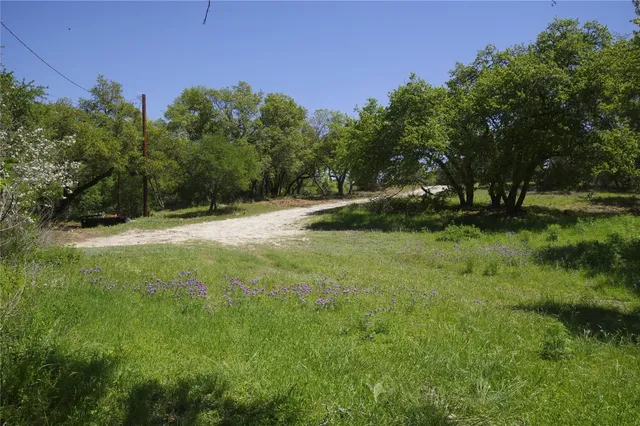 a view of a yard with a tree