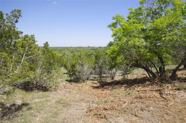 a view of backyard with large trees