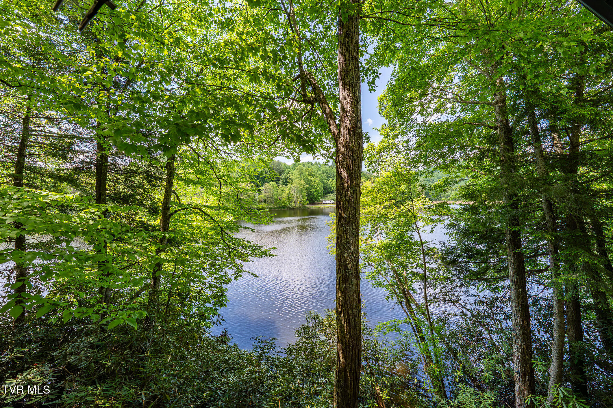 170 Ripshin Lake Road Roan Mountain, TN 37687 - Photo 49 of 64 170 Ripshin Lake Rd (19 of 73)