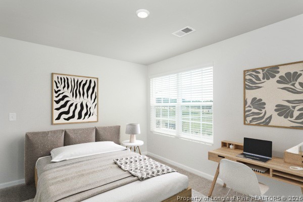 28 Rider Street Broadway, NC 27505 - Photo 19 of 22 a bedroom with a bed and a window