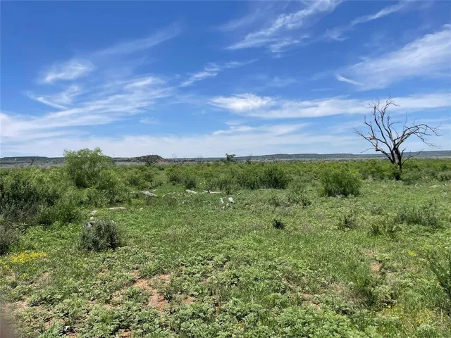 a view of a green field