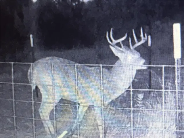 a view of a house with a mountain