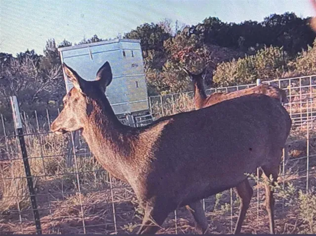 a view of an ocean beach