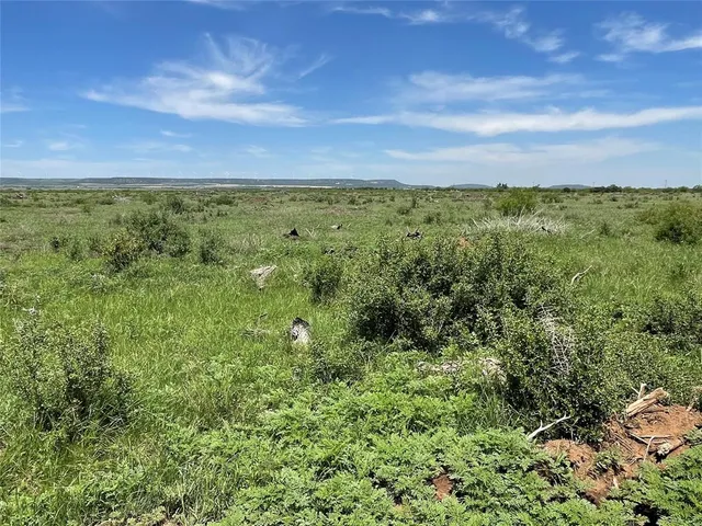 a view of a lush green forest with lots of trees