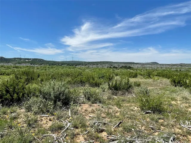a view of a green field with lots of bushes