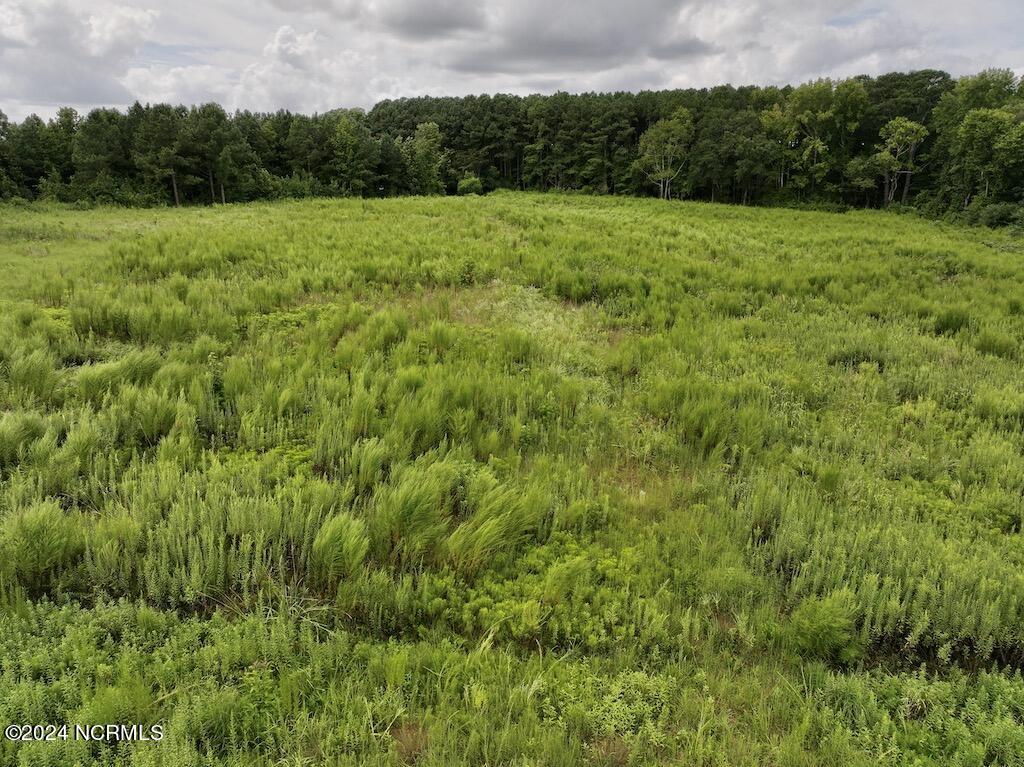 0 Michele Road Scotland Neck, NC 27874 - Photo 26 of 26 26