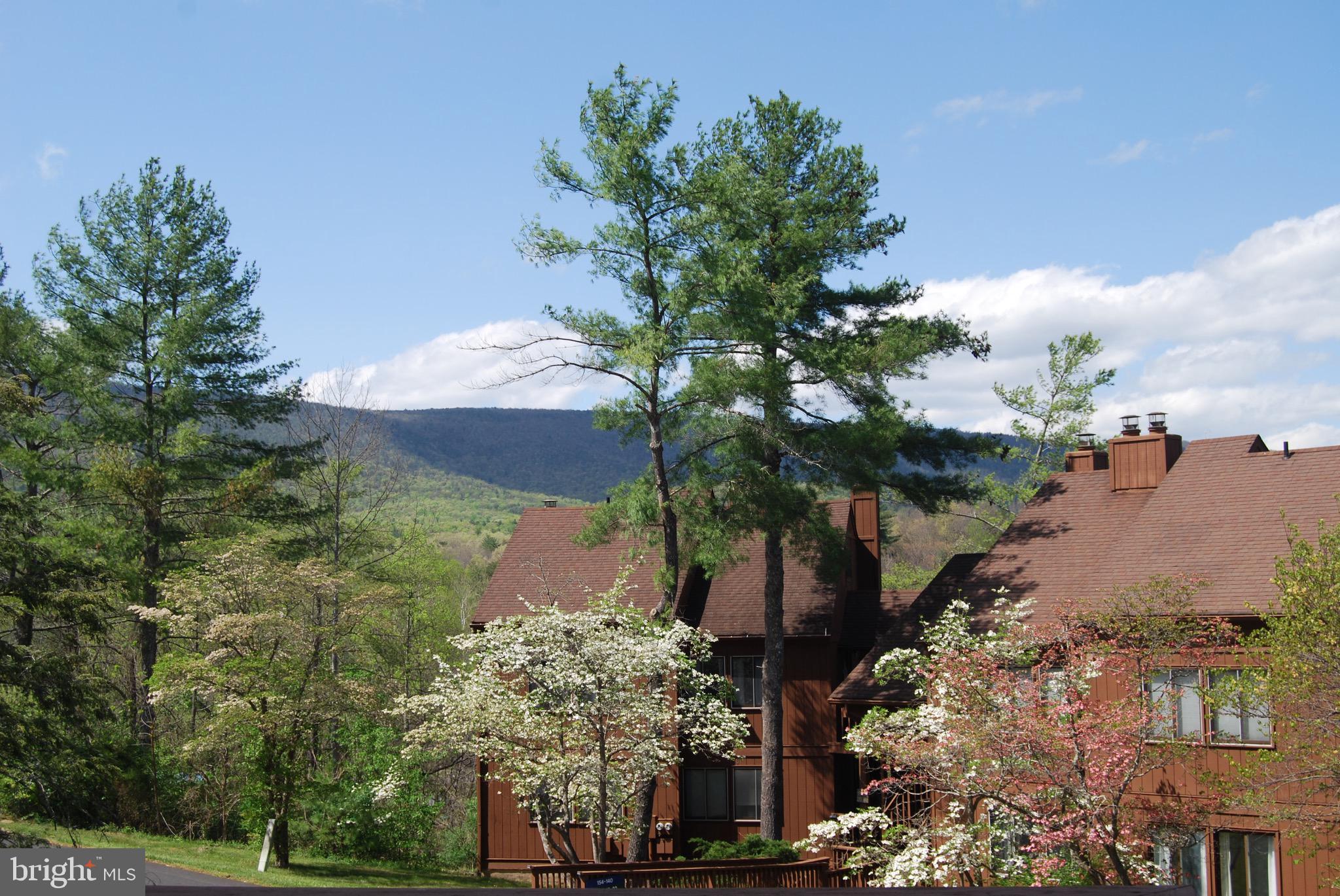 141 The Hill Road, Unit 25A Basye, VA 22810 - Photo 2 of 18 a picture of flowers