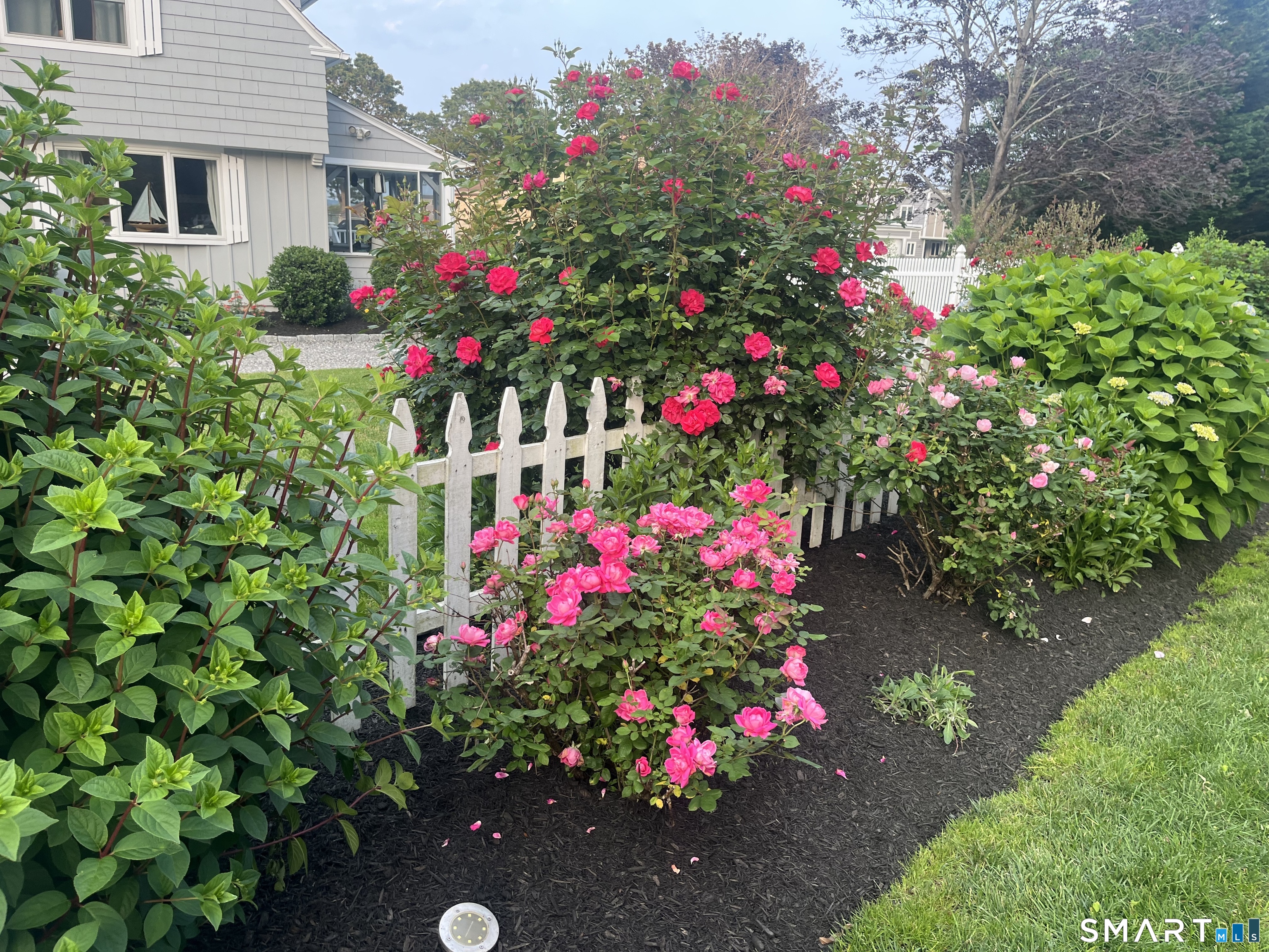 36 Attawan Road East Lyme, CT 06357 - Photo 39 of 40 Beautiful Roses