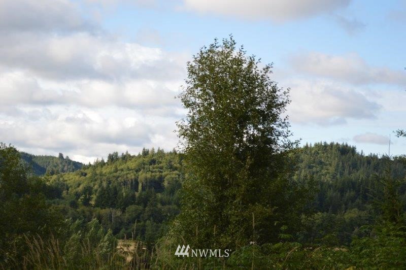 9 Mc Kinney Road Raymond, WA 98577 - Photo 1 of 7 Gallery Image 1