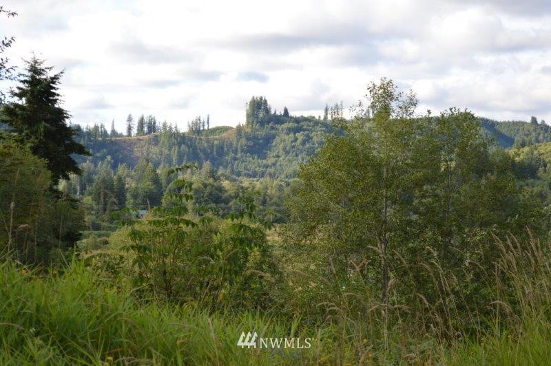 9 Mc Kinney Road Raymond, WA 98577 - Photo 4 of 7 Gallery Image 4