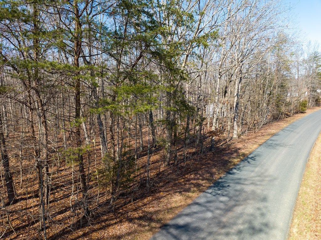 5811 Deer Run Road Farmville, VA 23901 - Photo 2 of 10 Gallery Image 2