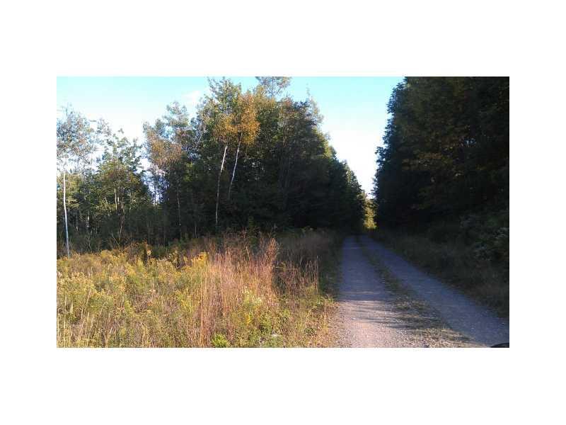 1 Chadwick Pt Road Danforth, ME 04424 - Photo 6 of 8 Land/Lot.