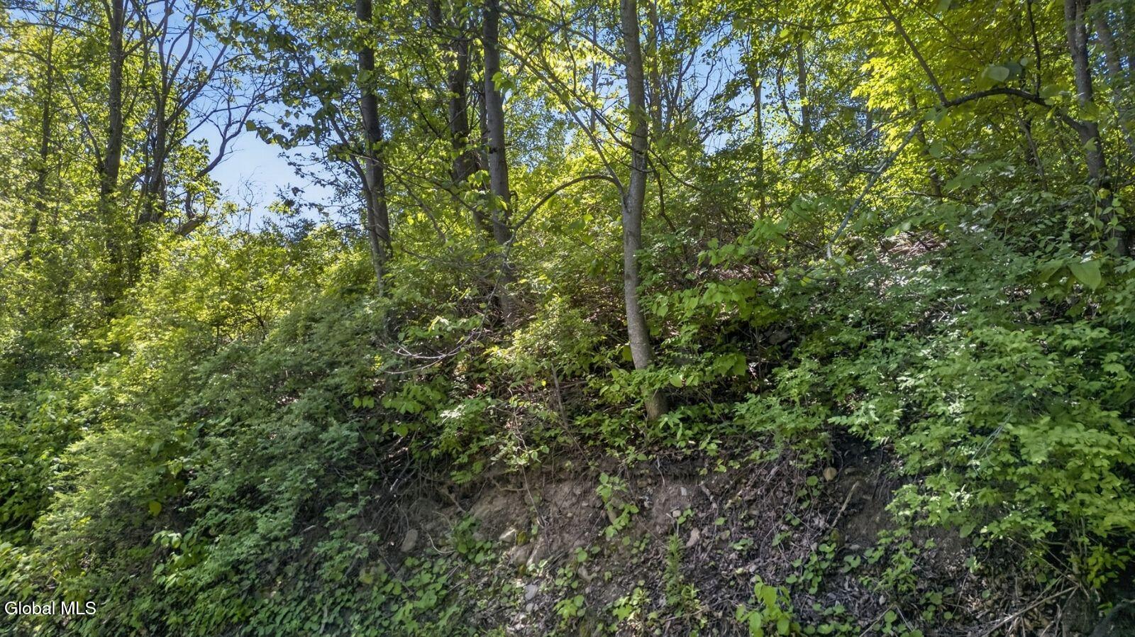L2.01 L2.01 Willie Oneil Road Cherry Valley, NY 13320 - Photo 24 of 27 l2-01-willie-oneil-rd-cherry-valley-ny-p