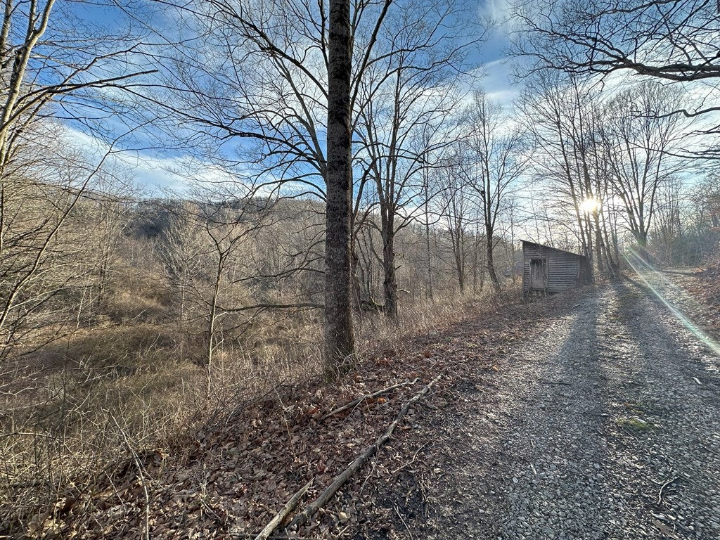 5491 Sandlick Road Bluefield, WV 24701 - Photo 50 of 50 Gallery Image 50