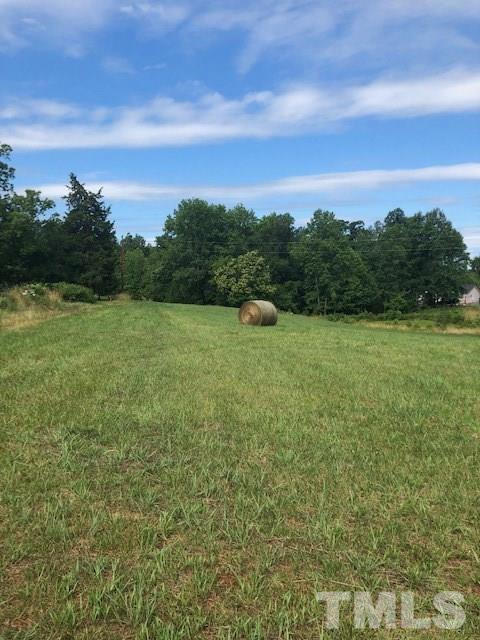 Lot 4 Mebane Oaks Road Mebane, NC 27302 - Photo 3 of 11 Gallery Image 3