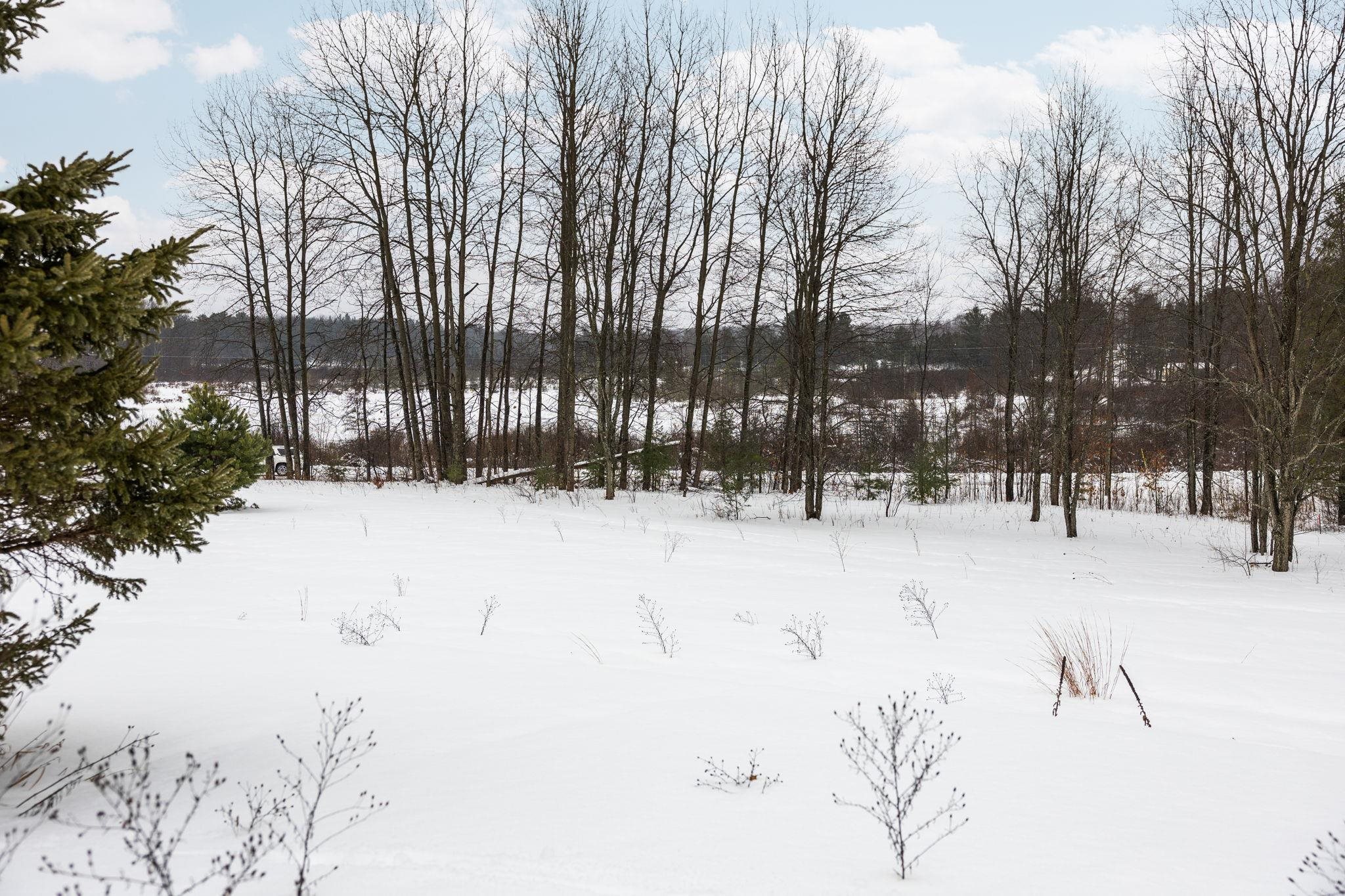 9756 Deibert Road Southwest South Boardman, MI 49680 - Photo 14 of 19 Gallery Image 14