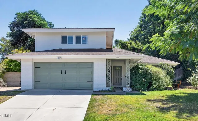 a black and white wall with a potted plant