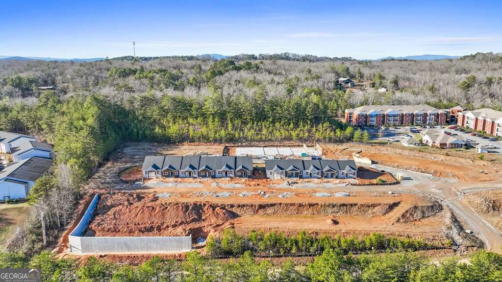 14 Chapel Drive, Unit 14 Blue Ridge, GA 30513 - Photo 3 of 12