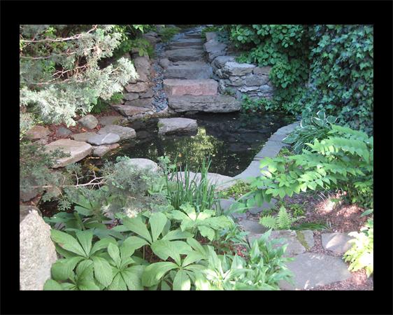 55 Oakland Road, Unit 1 Brookline, MA 02445 - Photo 13 of 13 Gallery Image 13