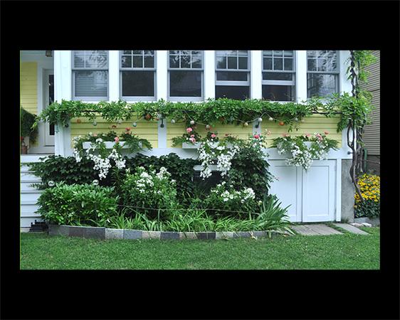 55 Oakland Road, Unit 1 Brookline, MA 02445 - Photo 10 of 13 Gallery Image 10