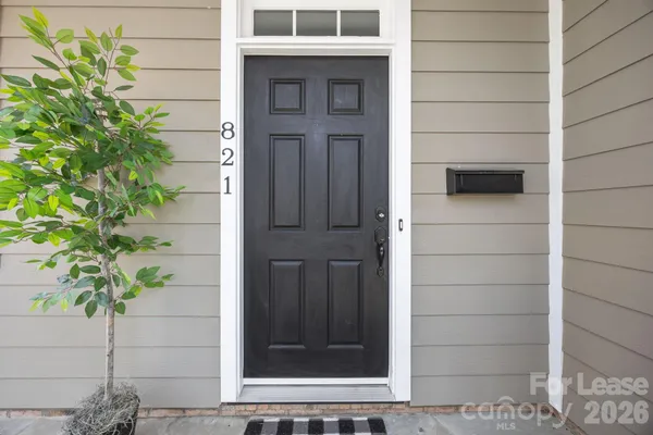 a potted plant sitting in front of a door