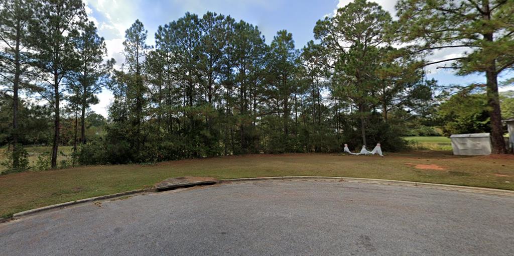 114 Pace Lane Dothan, AL 36305 - Photo 5 of 5