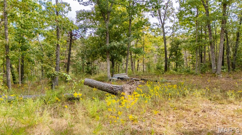 0 State Rte T Newburg, MO 65550 - Photo 5 of 15 Gallery Image 5