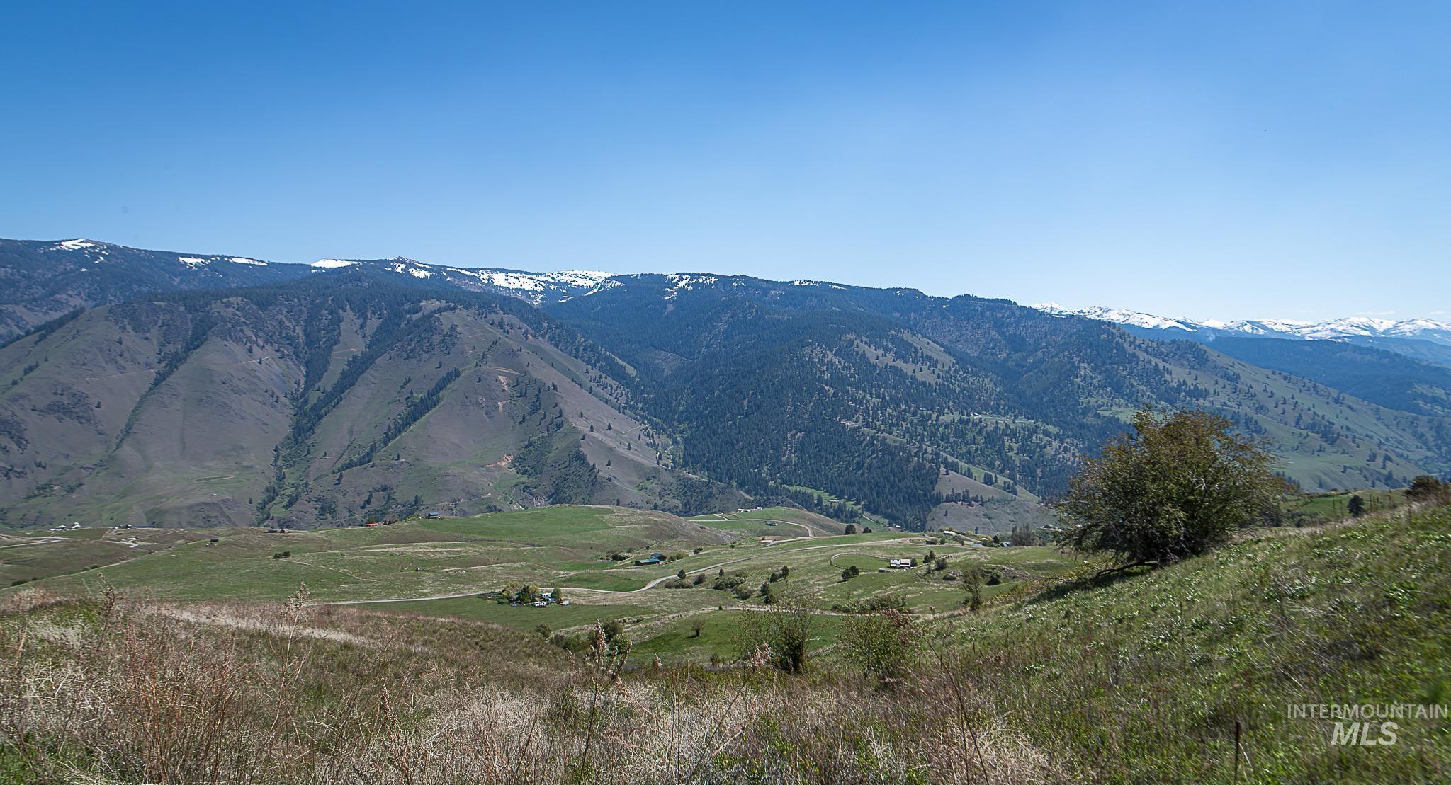 Lot 96 Elk Haven Circle Riggins, ID 83549 - Photo 13 of 14
