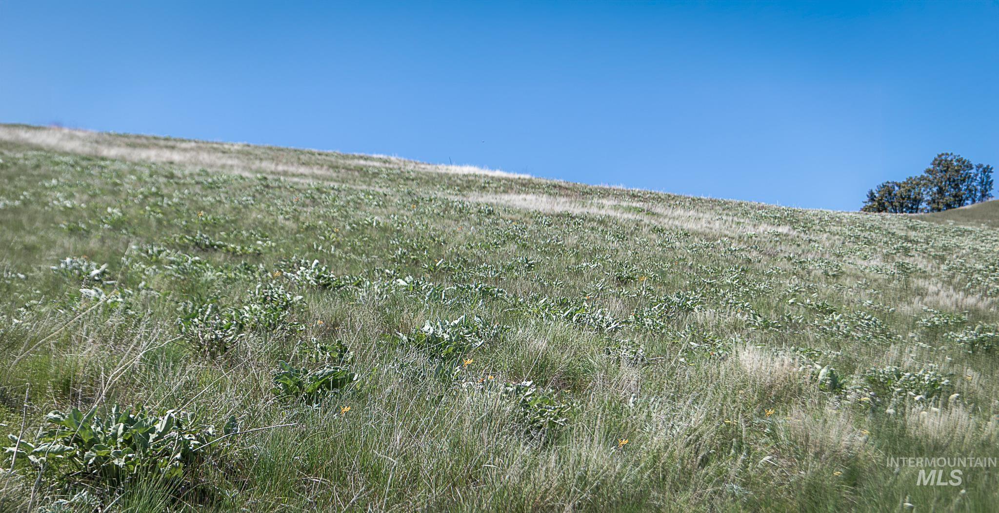Lot 96 Elk Haven Circle Riggins, ID 83549 - Photo 8 of 14