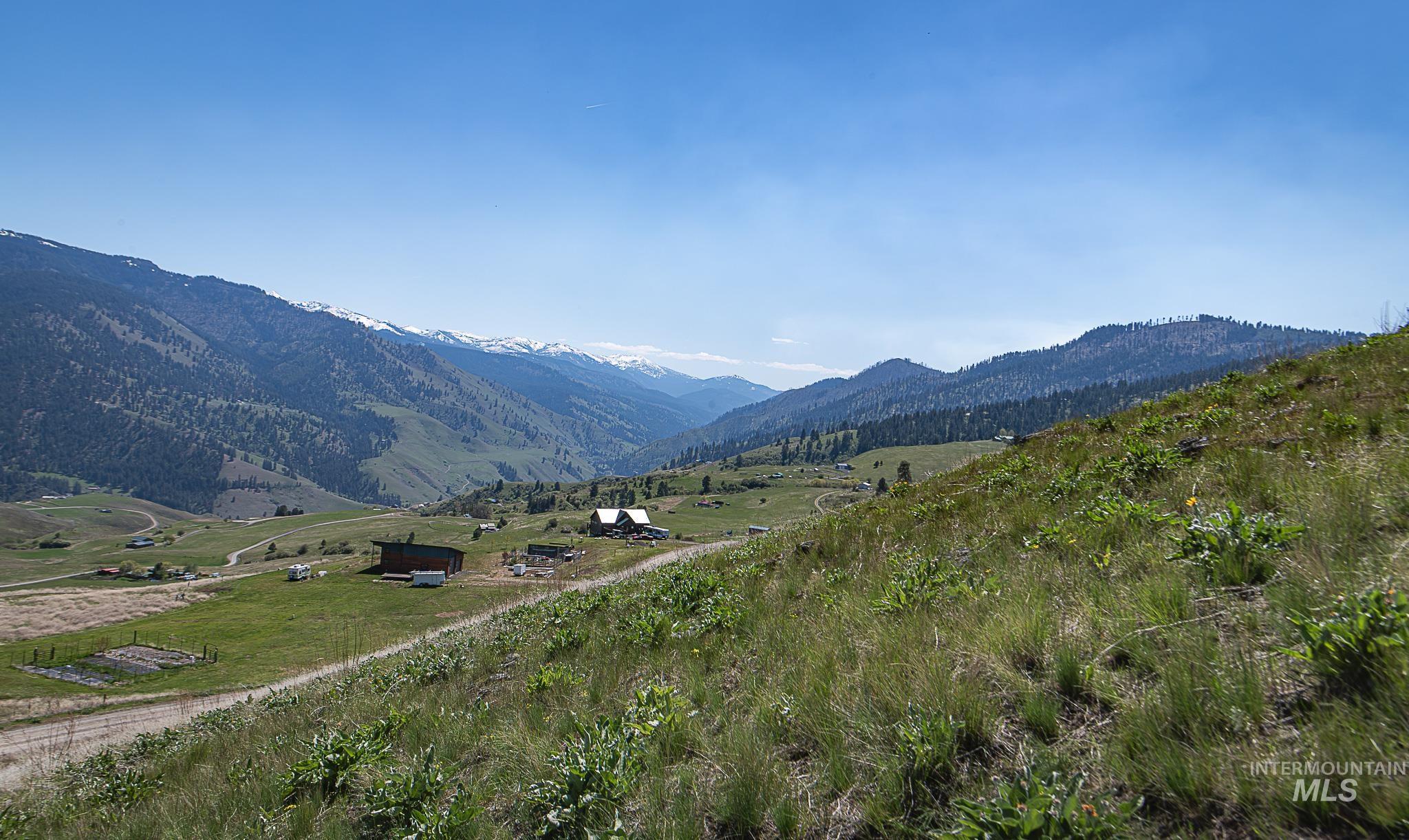 Lot 96 Elk Haven Circle Riggins, ID 83549 - Photo 9 of 14