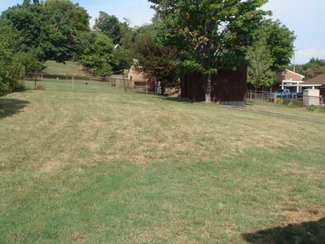 944 Olney Road Vinton, VA 24179 - Photo 3 of 23 DSC03376