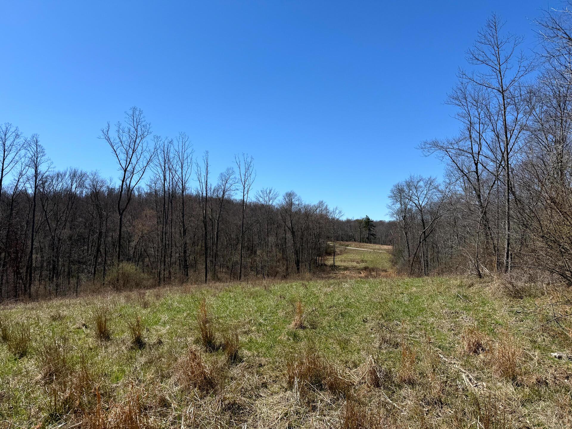 0 Dutch Ridge Road Southeast, Unit WOODS TURKEY RUN TRACT 5) New Lexington, OH 43764 - Photo 19 of 58 CT-19