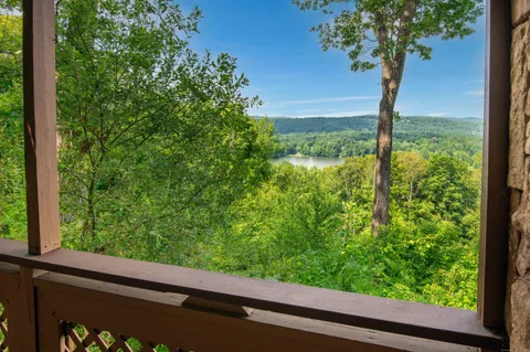 a view of a garden from a window