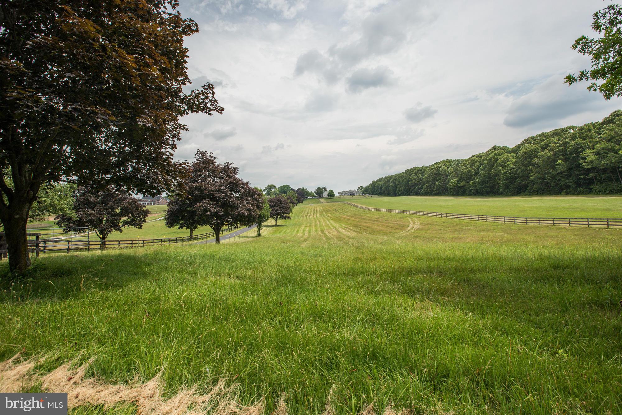7211 Hawkins Creamery Road Gaithersburg, MD 20882 - Photo 28 of 30 GORGEOUS ACERAGE