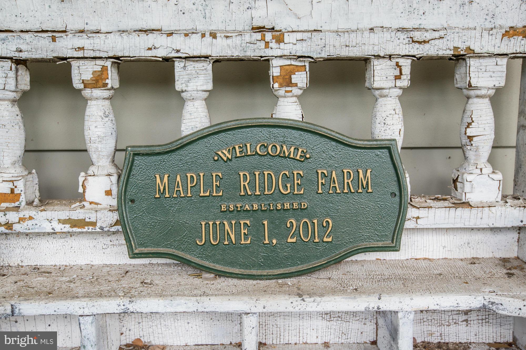 7211 Hawkins Creamery Road Gaithersburg, MD 20882 - Photo 4 of 30 MAGICAL MAPLE RIDGE FARM!!