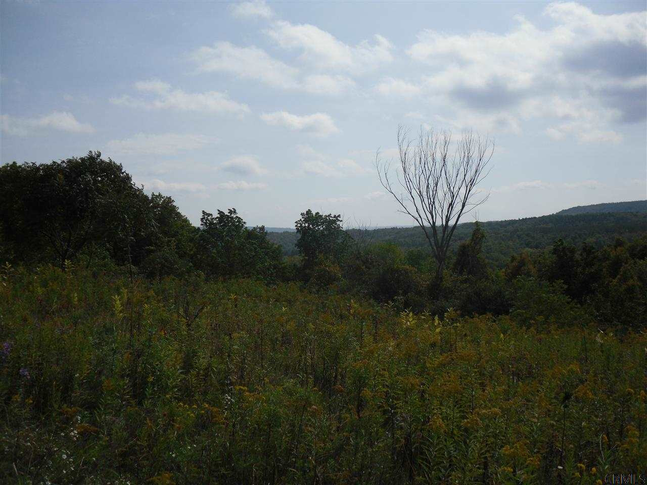 Goewey Road Fultonville, NY 12072 - Photo 11 of 24 Photo 11