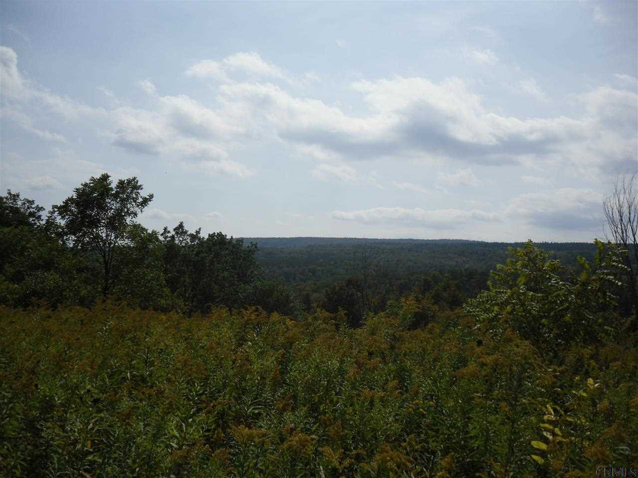 Goewey Road Fultonville, NY 12072 - Photo 12 of 24 Photo 12