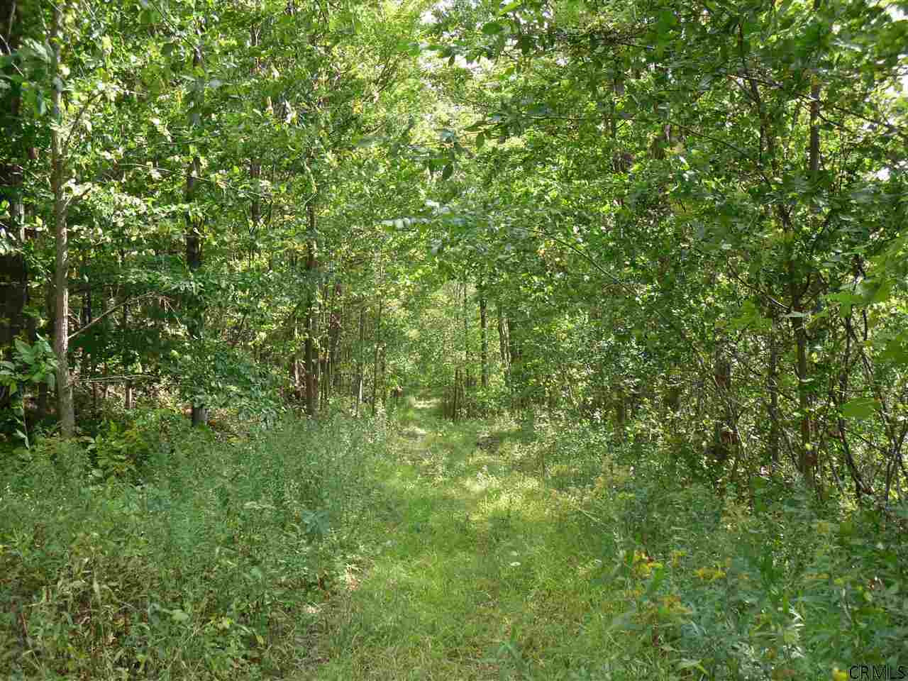 Goewey Road Fultonville, NY 12072 - Photo 13 of 24 Photo 13