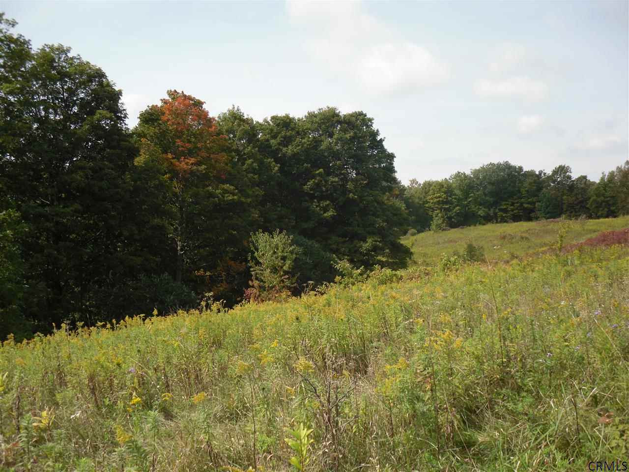 Goewey Road Fultonville, NY 12072 - Photo 14 of 24 Photo 14