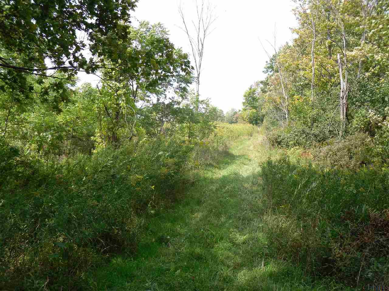 Goewey Road Fultonville, NY 12072 - Photo 15 of 24 Photo 15