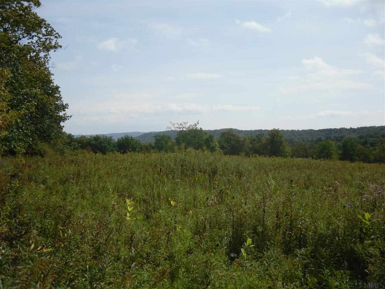 Goewey Road Fultonville, NY 12072 - Photo 16 of 24 Photo 16