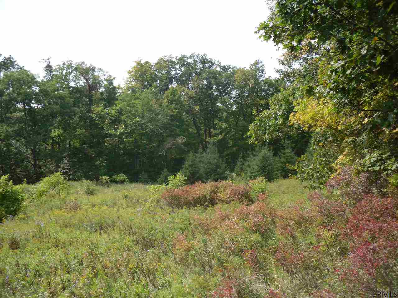 Goewey Road Fultonville, NY 12072 - Photo 17 of 24 Photo 17
