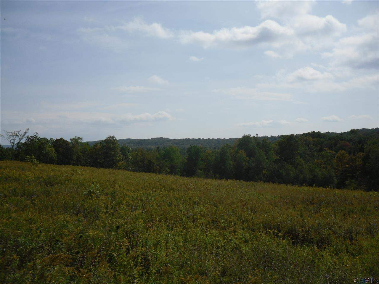 Goewey Road Fultonville, NY 12072 - Photo 18 of 24 Photo 18