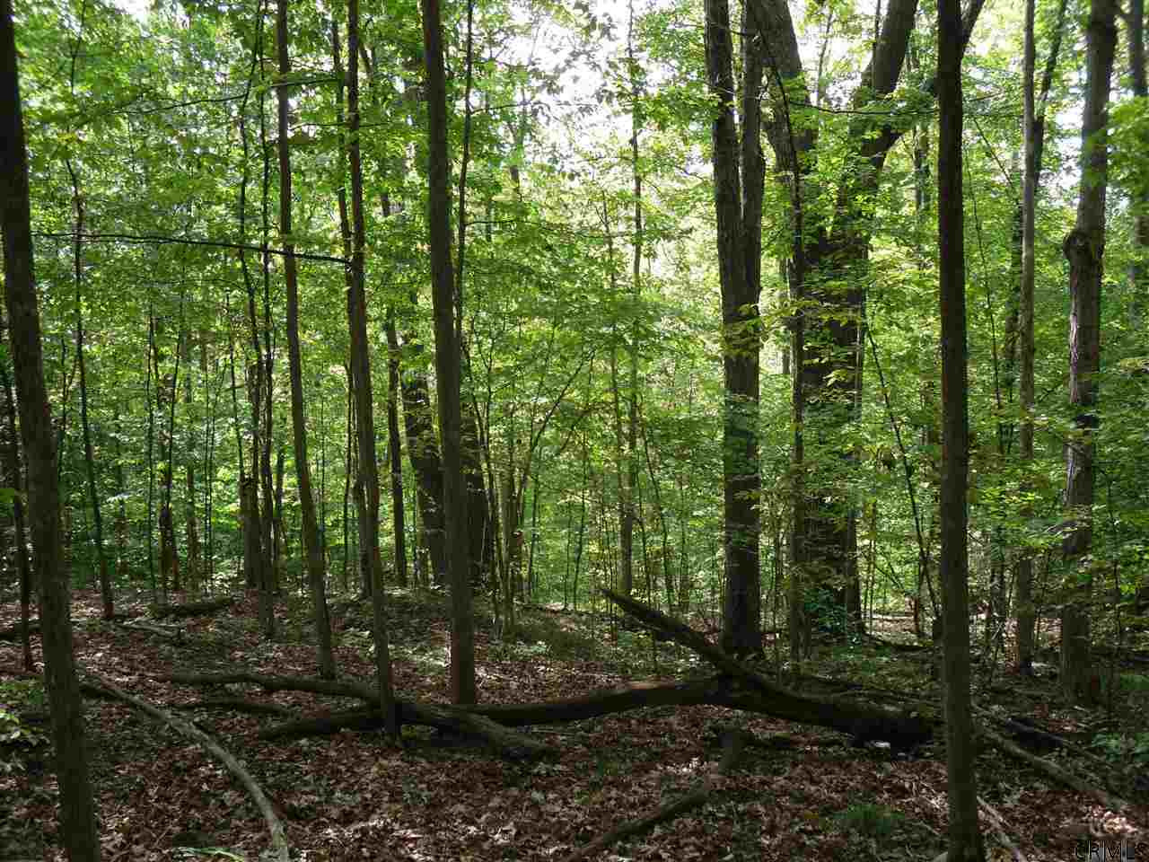 Goewey Road Fultonville, NY 12072 - Photo 19 of 24 Photo 19