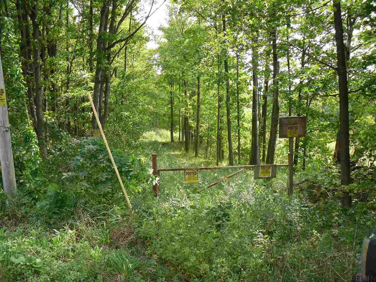 Goewey Road Fultonville, NY 12072 - Photo 2 of 24 Photo 2